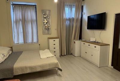 Apartament cu 2 camere semidecomandat în Ultracentral - 4