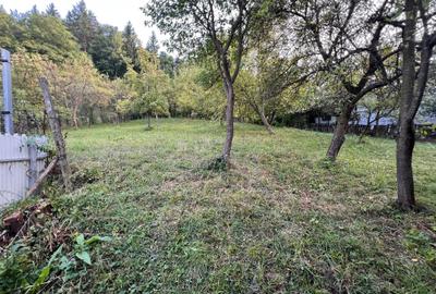 Casa de vanzare Soveja-Vrancea - 35