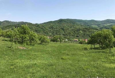 Teren în Stoenești - 1