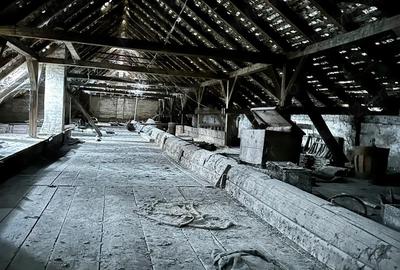 Casă cu 6 camere cu Teren 4300 Mp în Otelec - 3