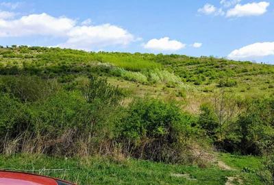 Spațiu comercial, în Ceptura - 2