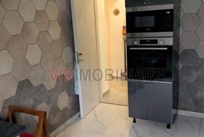 Piata Victoriei, Dr.iacob Felix - apartament 2 camere de inchiriat - 6