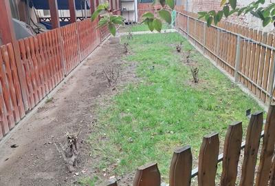 Apartament cu 2 camere semidecomandat în Iosefin - 8