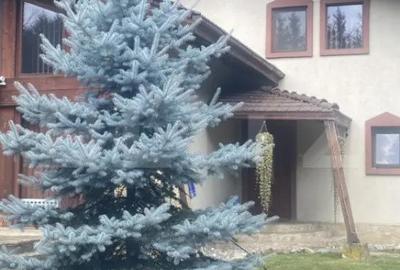 Casă cu 3 camere cu Teren 1125 Mp în Central - 9