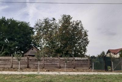 Teren de 1500 mp, în Nădab - 2