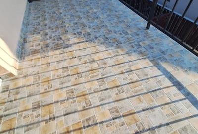 Casa insiruita finisata, zona Stadionului - 13