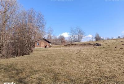 Spațiu comercial, în Bran - 19