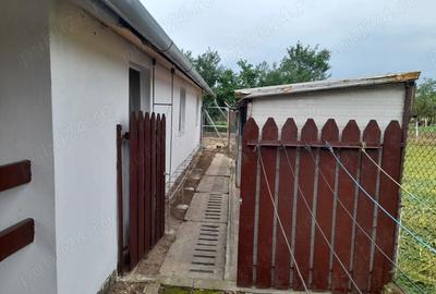 Vand casa Peciu Nou - 7