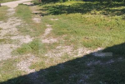 Casa 103 mp, sat Valea, com. Vargata - 8