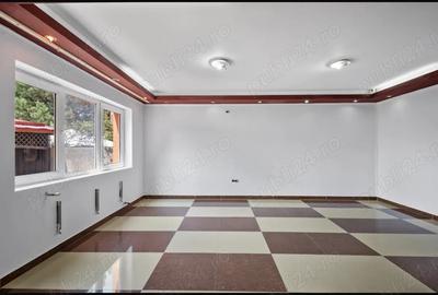 Casa de vanzare in voluntari - 10