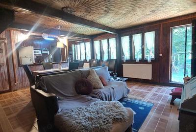 Casă cu 6 camere cu Teren 1050 Mp în Greșu - 11