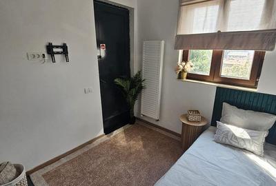 Apartament cu 4 camere, mobilat în Gara de Nord - 8
