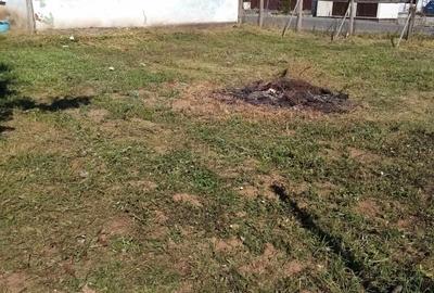 Casa de vanzare jibou - 6