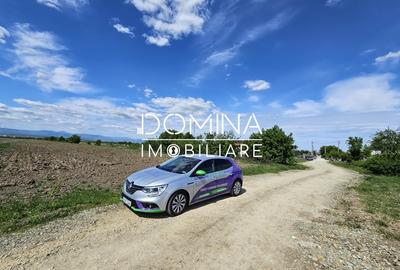 Teren Construcții intravilan de 5000 mp, în Dănești - 2