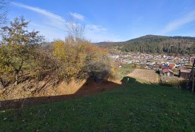 Teren cu suprafata de 3360 mp in Gura Humorului-Toaca-Boureni - 20