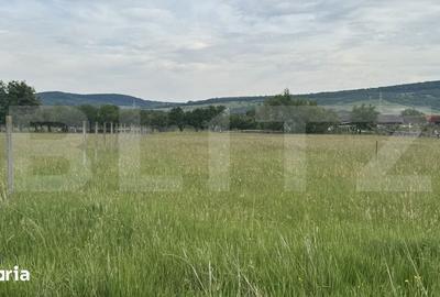 Teren de 1100 mp, în Livezile - 5