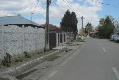 Cornetu - Lalelelor, Stradal - 8