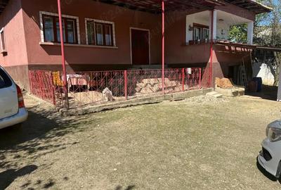 Casă cu 4 camere cu Teren 3200 Mp în Păltinișu - 6