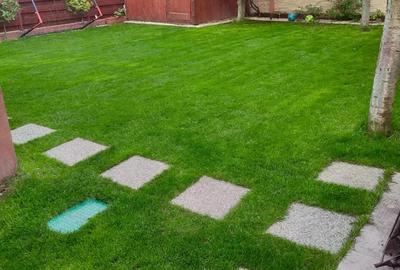 Casă cu 5 camere în Bujac