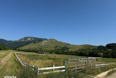 Teren de 9000 mp, în Râmeț - 13