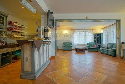 Hotel/Pensiune, de 2,950 mp, în Pănicel - 35