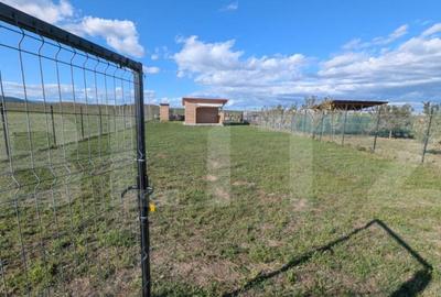 Teren de vanzare in Partos - 4