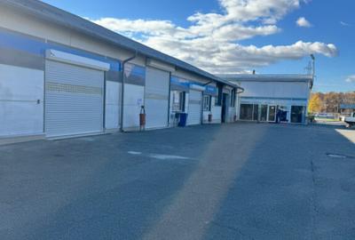 SERVICE AUTO Ultramodern (Business ultraprofitabil la cheie - 4