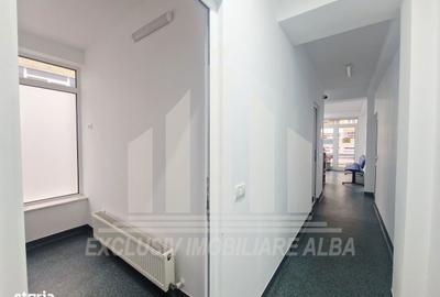 Spațiu comercial, de 400 mp, în Cetate - 12