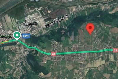 Tomesti - Cabana din lemn si Teren 1008mp intravilan - 1