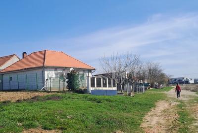 Spațiu comercial, în Cihei - 3