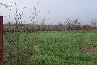 Teren Construcții intravilan de 2300 mp, în Sărulești - 14