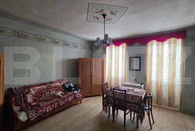 Casa cu teren 32 ari Viile Tecii, la 30 km de Bistri?a - 15