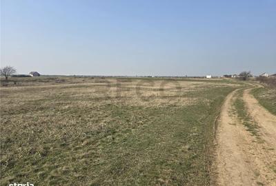 Spațiu comercial, în Central