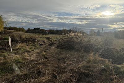 Teren Intravilan Dudestii Noi 838mp,Fs 20m,Utilitatile In Fata Parcelei,Asflat - 5