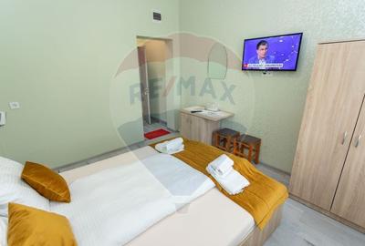 Pensiune agroturistica cu 6 camere + Casa de locuit, de vanzare - 15