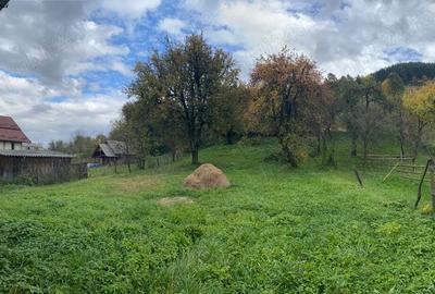 Casă cu 6 camere în Săliște - 2