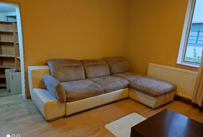 Casa la curte in Arad Centru-Intim - 2