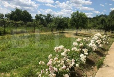 Casă cu 5 camere cu Teren 1732 Mp în Găești - 10