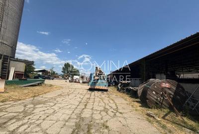 Proprietate industriala - Tg. Jiu - teren + hala + birouri - 10