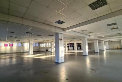 Spatiu show room, 1500 mp , parcare , Calea Lugojului - 4