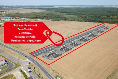 Teren Vanzare Intravilan Branesti investitie Zona Industrial - 8