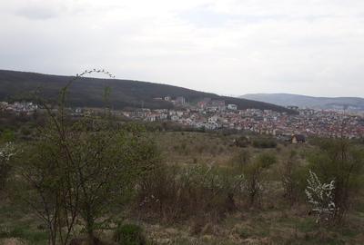 Teren 2533 mp, Cluj-Napoca, Zona Fanata - 3