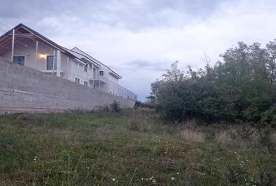 Teren de 1001 mp, în Cetate