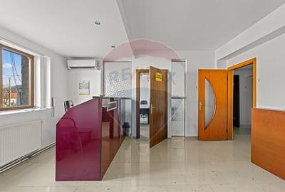 Spațiu birouri de închiriat DESTINAȚII MULTIPLE – zona Aradul Nou - 2