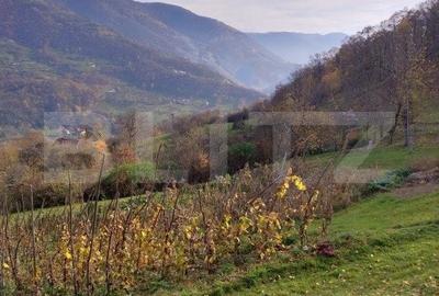 Casa la munte cu teren generos de 9340mp in zona Capalna - Valea Sebesului - 12