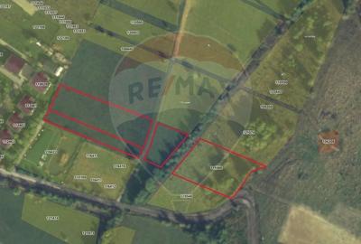 Teren Construcții intravilan de 6648 mp, în Tohanu Nou - 2