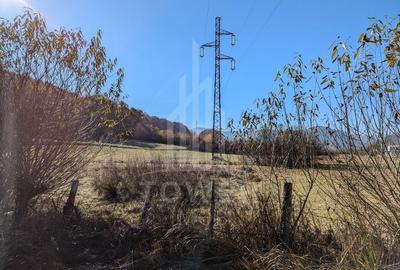 Teren extravilan in Tropinii Noi (Rasinari)-2592 mp - 7
