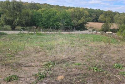 TEREN INTRAVILAN//COM. PLOPU//1300//2700 MP - 1