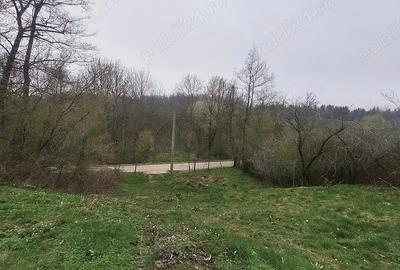 Teren 3100 mp si padure in Curtea de Arges zona Cuza Voda - 6