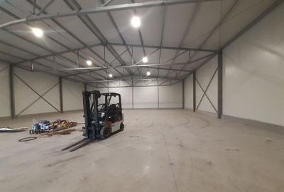 Hala noua in zona Gara Catelu, Drumul Intre Tarlale Hala noua in zona Gara Catelu, Drumul Intre Tarlale - 2